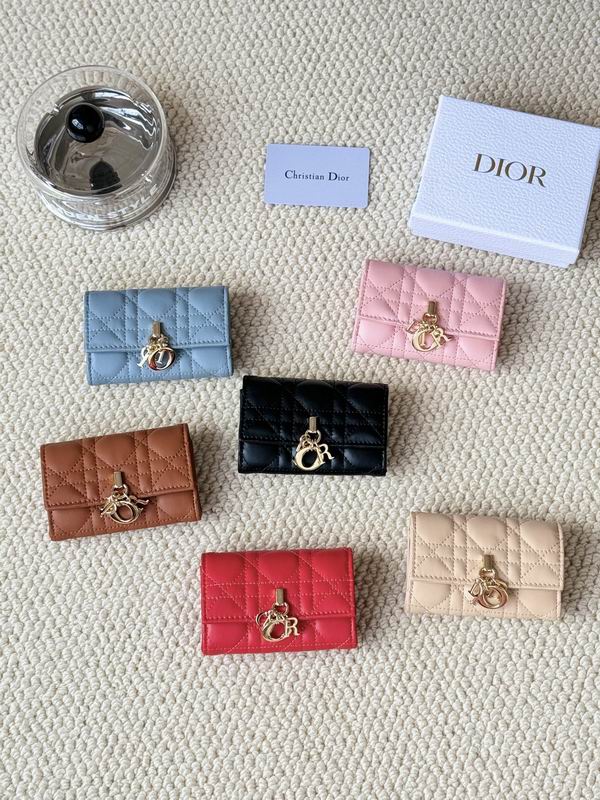 Dior Card bag 76